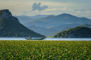 wine tasting, get into the fairy tale, piece of history , Montenegro tours