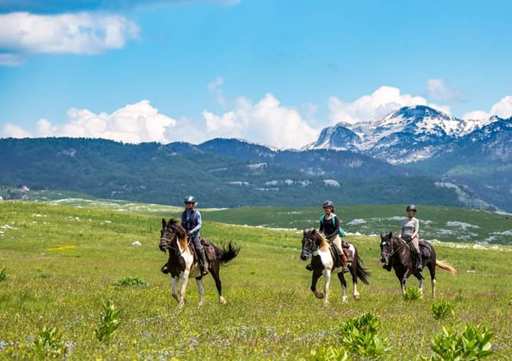 horse back riding in nature mountains of Montenegro