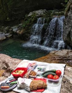 picnic in nature, hiking 