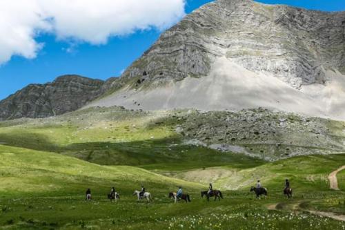 nature, horse ride, Montenegro