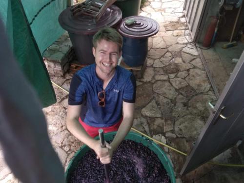 making wine in Montenegro